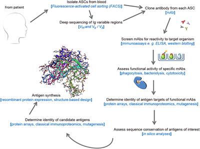 Bacterial Vaccine Antigen Discovery in the Reverse Vaccinology 2.0 Era: Progress and Challenges